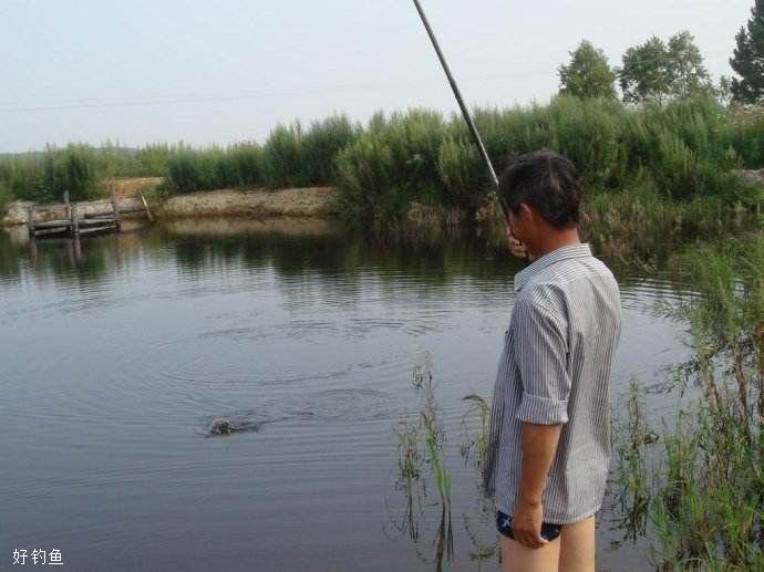 驳小崔观点：温度低溶氧就会高吗？