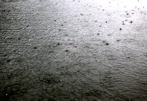 都说雷雨过后鱼儿活性增强，但是这并不绝对