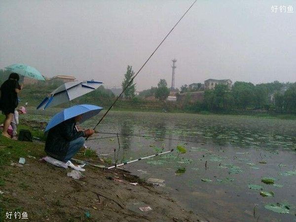 阴雨天气钓鱼需要注意的四个事项