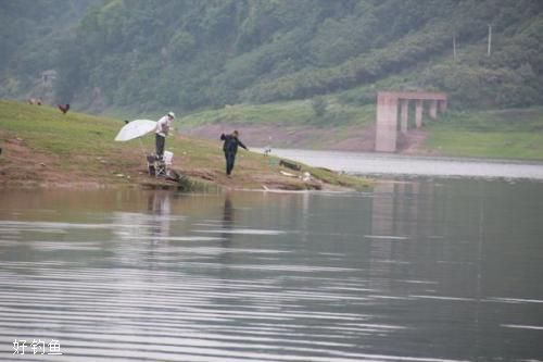 什么时候钓底什么时候钓浮？