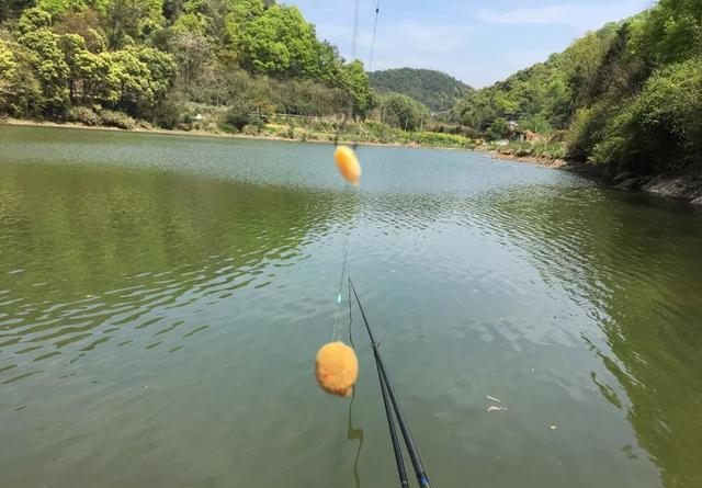 ​水肥、水瘦该如何用饵？按照鱼情做调整才正确