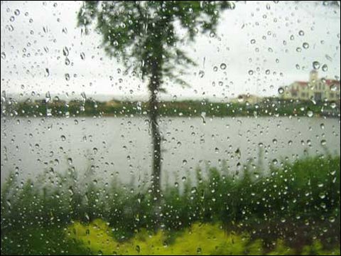 梅雨天气钓鱼难，这四个妙招助你解惑