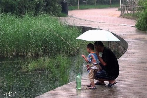 梅雨天气钓鱼难，这四个妙招助你解惑