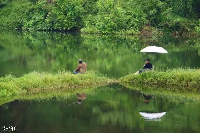 梅雨天气钓鱼难，这四个妙招助你解惑