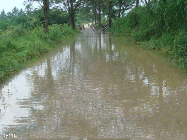 雨后涨水好钓鱼吗？怎么才能钓得更多？