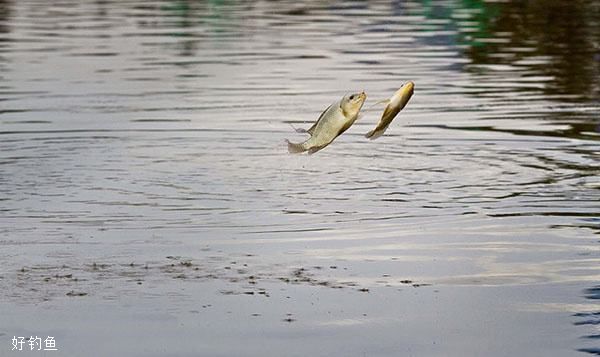 春天大风钓鱼技巧，起风了别急着收竿