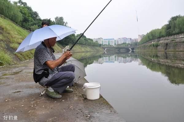 夏季雨后涨水，应如何选钓位