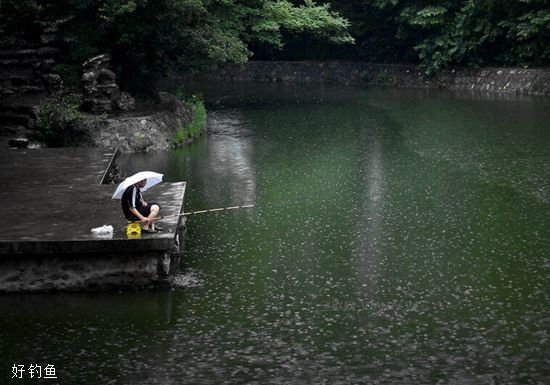 雨天施钓不空军的要点和技巧