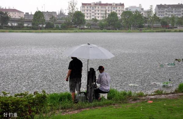 夏季雨天不适合垂钓的5种情况