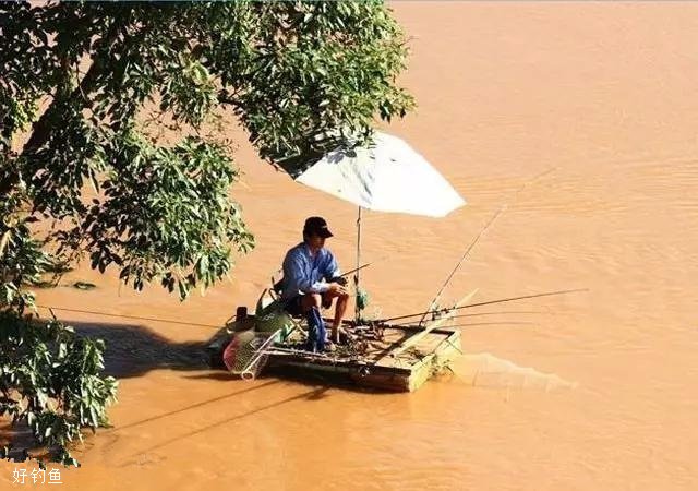 夏季大雨后江河边钓退水鱼的方法