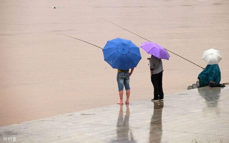 夏季暴雨过后的钓鱼技巧