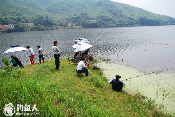 浅谈温度对垂钓的影响