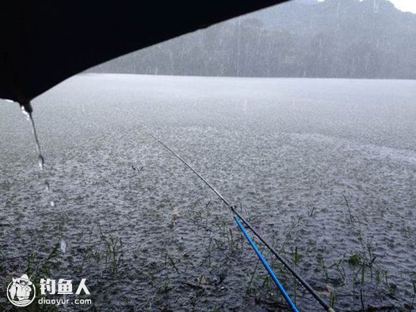 雨天出钓的时间及钓点的选择