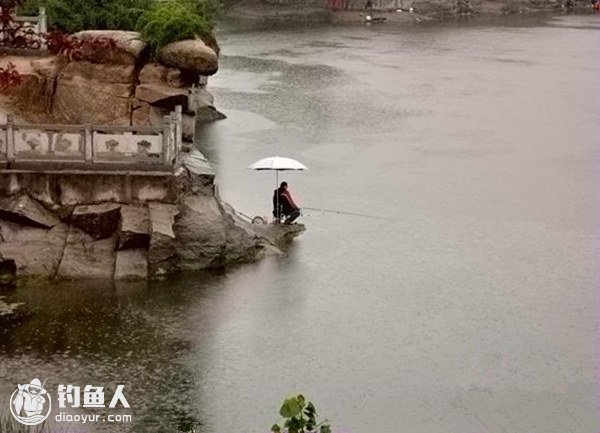 雨天出钓的时间及钓点的选择