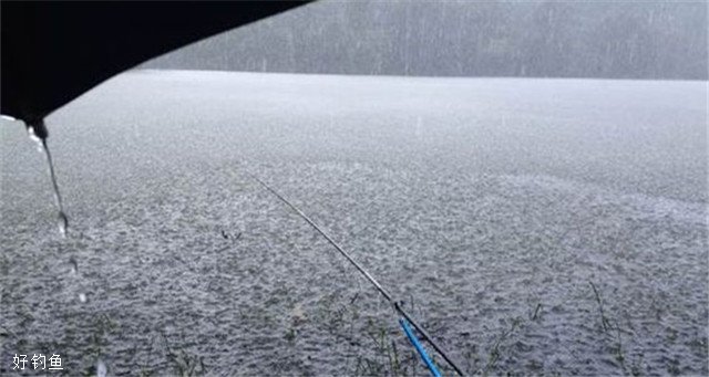 下雨天难钓鱼？三个技巧助你钓大鱼