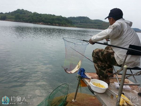 降温天的钓鱼技巧实践总结