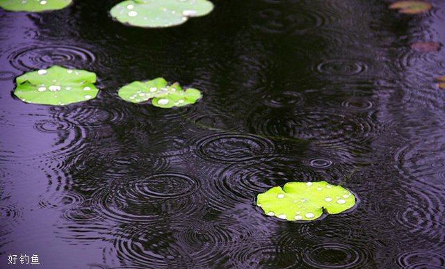 暴雨后什么环境适合钓鱼？