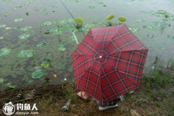 仲秋下雨天钓鱼的选时选饵及钓法