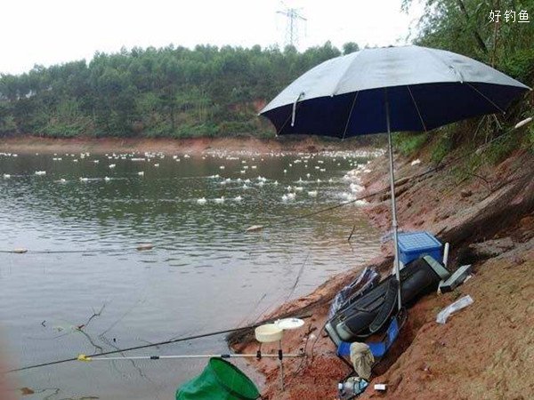 雨天出行钓鱼的注意事项