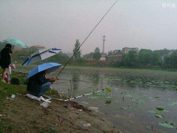 雨天出行钓鱼的注意事项