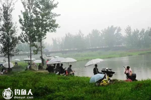 下雨天钓鱼的选位技巧和钓法