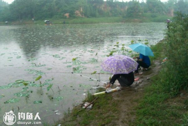 夏天下雨季节的钓鱼忌讳和技巧