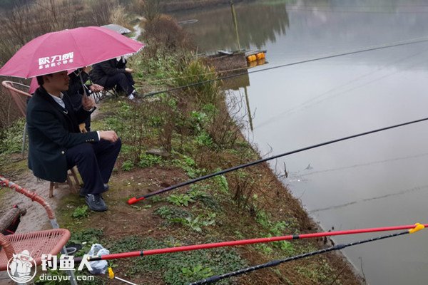 下雨天钓鱼的用饵选位技巧及无漂钓法