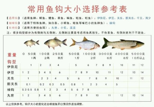 关于台钓八字环以下的常见问题探讨