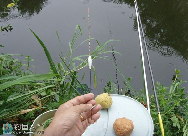 不同鱼情的选用浮漂技巧