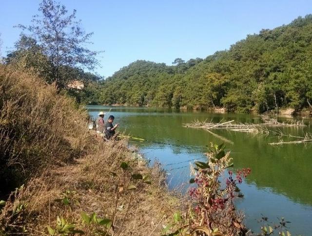 山林溪河冬钓，野钓鱼漂中鱼教学，钓获一箱鱼