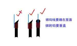 新手学钓鱼1_如何绑钩？