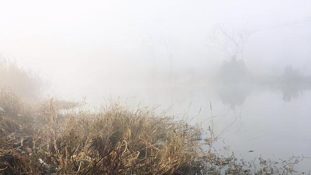 想知道雾天好不好钓鱼，搞明白湿度对雾气的影响