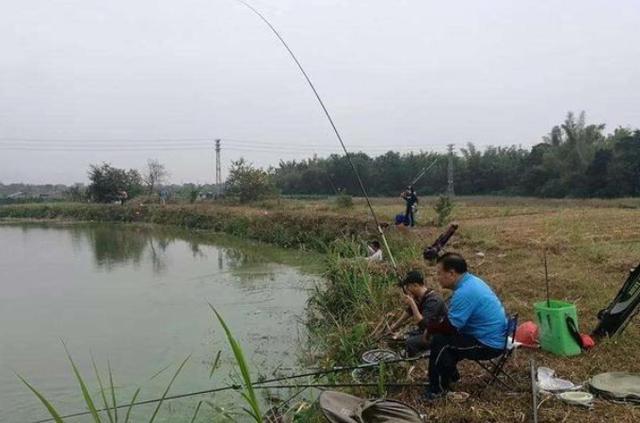 实在想不通，为什么会跑鱼