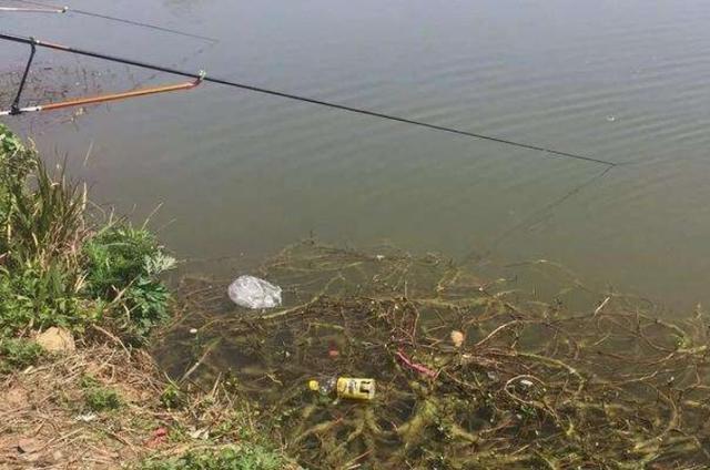 确认过眼神，秋天拥有这鳊鱼钓法最霸气