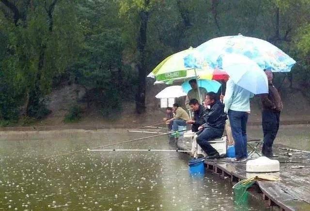 降雨类型不同，不是所有的降雨，都适合我们钓鱼