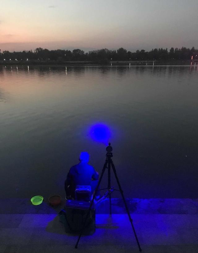 都说夏季夜钓好，夜深人静能上大鱼