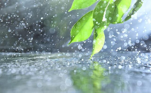 连续阴雨天，不知如何钓鱼？看完这些，雨天一样钓鱼