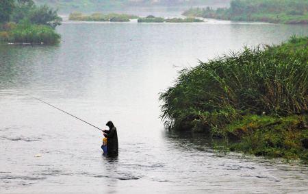 入夏多雨季，鱼口却是时好时坏，到底怎么做才能渔获