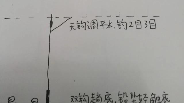 黑坑滑鱼很难钓,搞懂三大特征选择合适的调钓方法