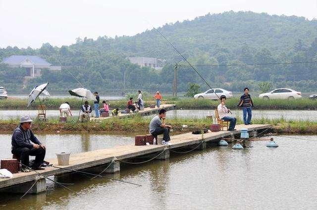 黑坑做钓回锅鱼，窝点鱼泡不断，就是没有鱼口