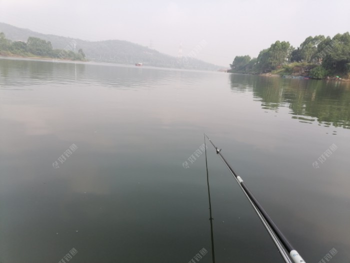 野钓适合调平水钓2目还是调4钓2目，看葫芦怎么玩