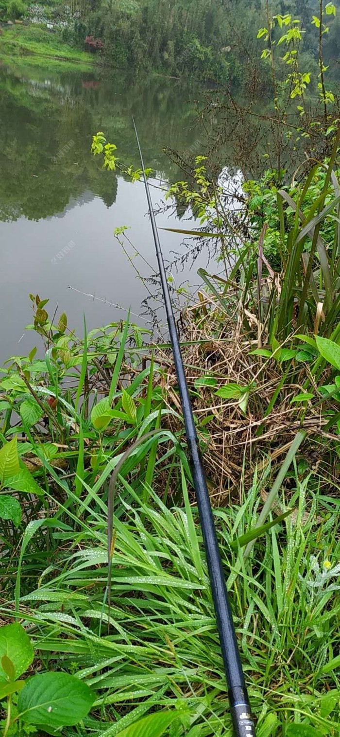 野钓适合调平水钓2目还是调4钓2目，看葫芦怎么玩