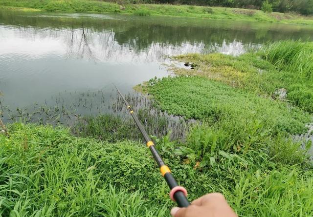 下完大雨河水暴涨，这些地方鱼最多，老钓友都抢着坐