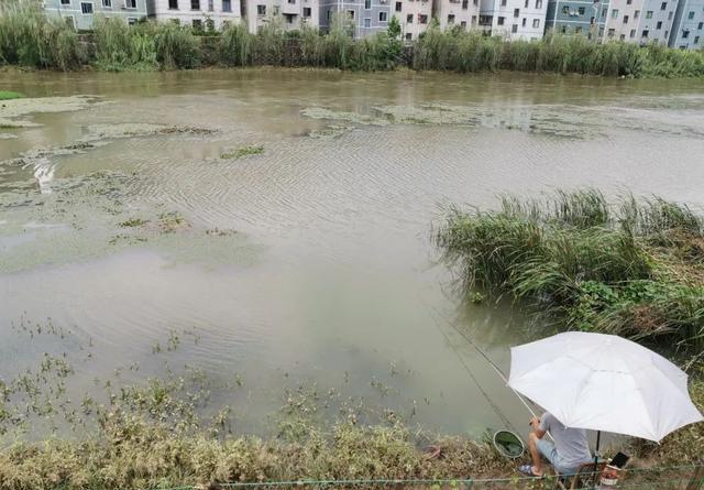 下完大雨河水暴涨，这些地方鱼最多，老钓友都抢着坐