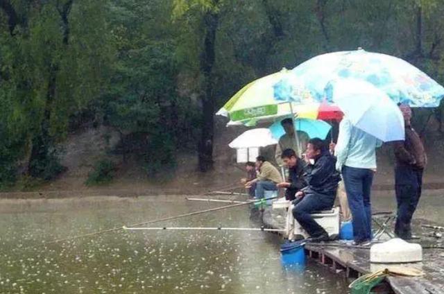 夏天一到，鱼就难钓？碰到两种天气，够你狂拉一整天