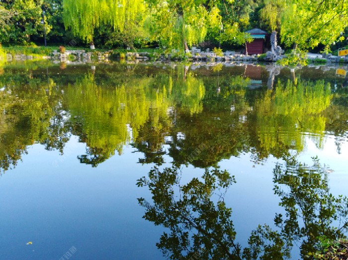 夏季钓鲫的7个概念，能让你在夏天更好的钓鱼，钓到大鱼