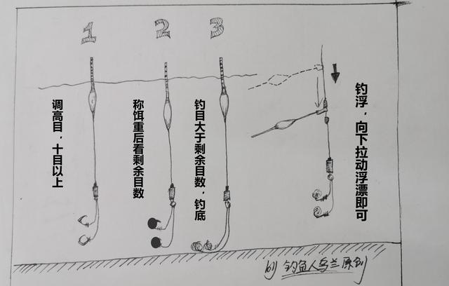 离底钓浮漂调钓之精髓，鱼情变化之反向验证手段