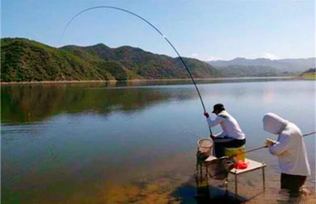 野钓偶遇大鱼怎么办？教你几点垂钓小技巧