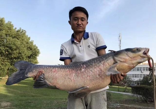 野钓偶遇大鱼怎么办？教你几点垂钓小技巧