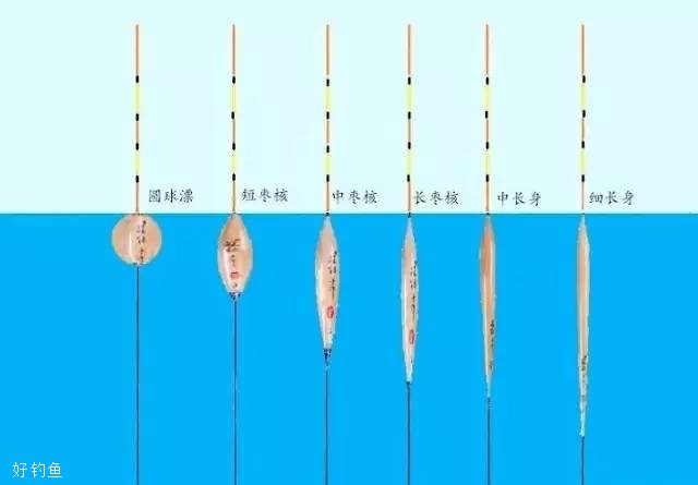 浮漂的原理和不同漂型的特征